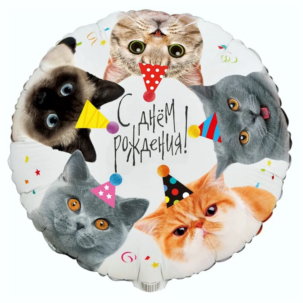 Шар с рисунком С днем рождения Котики